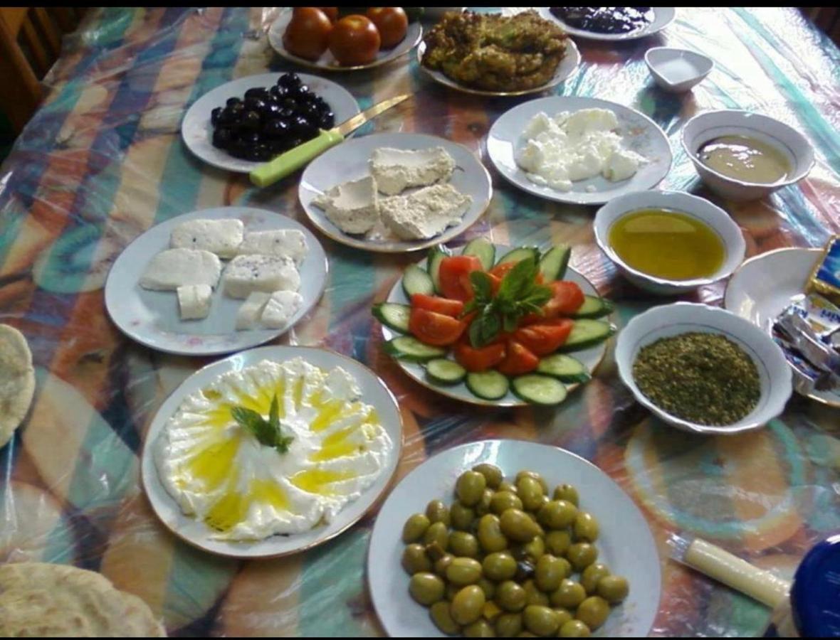 מלון וואדי רם Bedouin Adventure & Tours מראה חיצוני תמונה